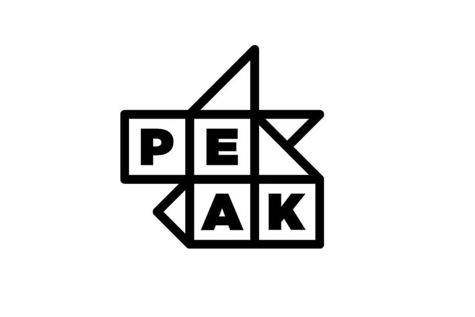 Peak conducts Digital Hiring Day to enroll freshers for Jaipur